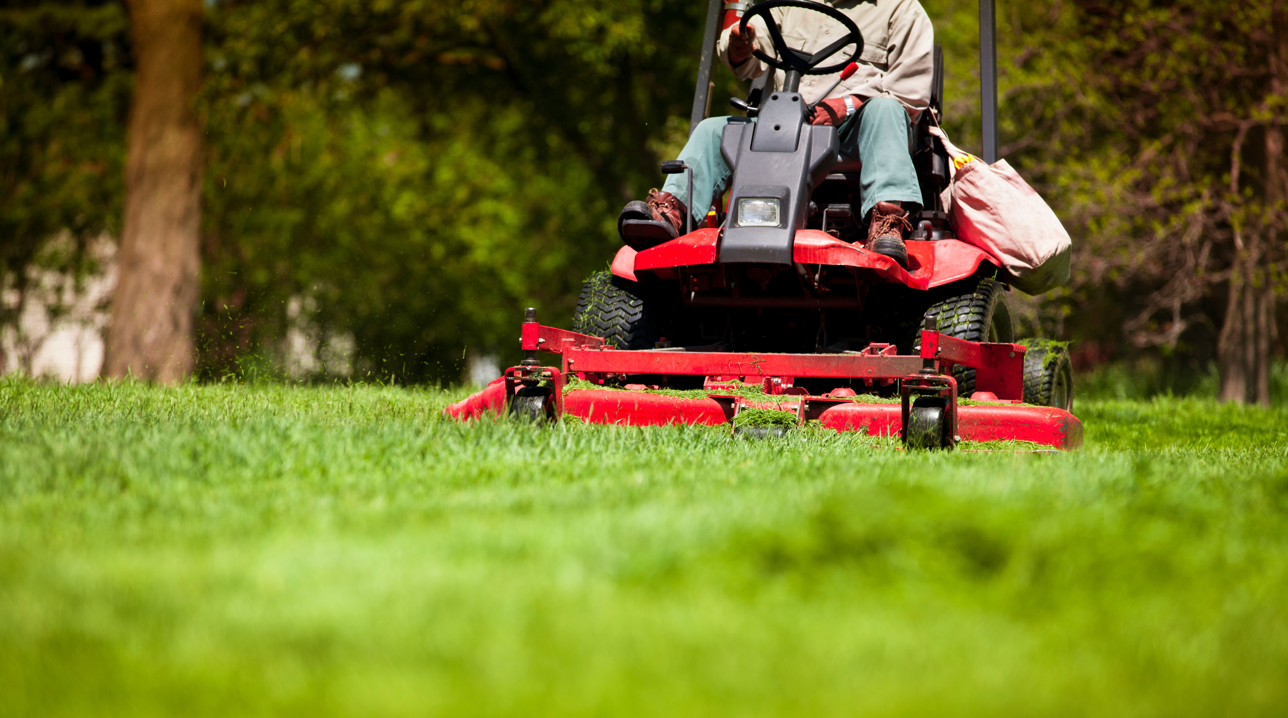 Lawn Mowing